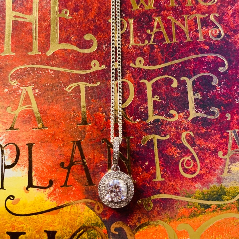 925 sterling silver necklace